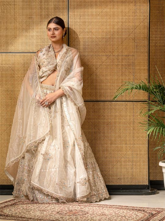 Ivory Embroidered Lehenga Saree – Net Overlay with Zari & Sequin Work